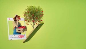 Особенности использования rich контента в различных категориях товаров